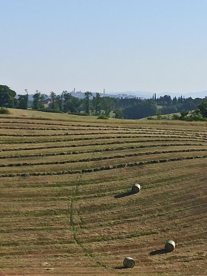 Villa Poggio Al Sole Bio Agriturismo Private Pool San Rocco a Pilli Eksteriør billede