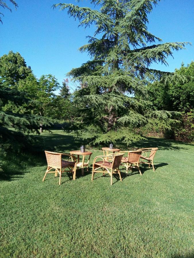 Villa Poggio Al Sole Bio Agriturismo Private Pool San Rocco a Pilli Eksteriør billede