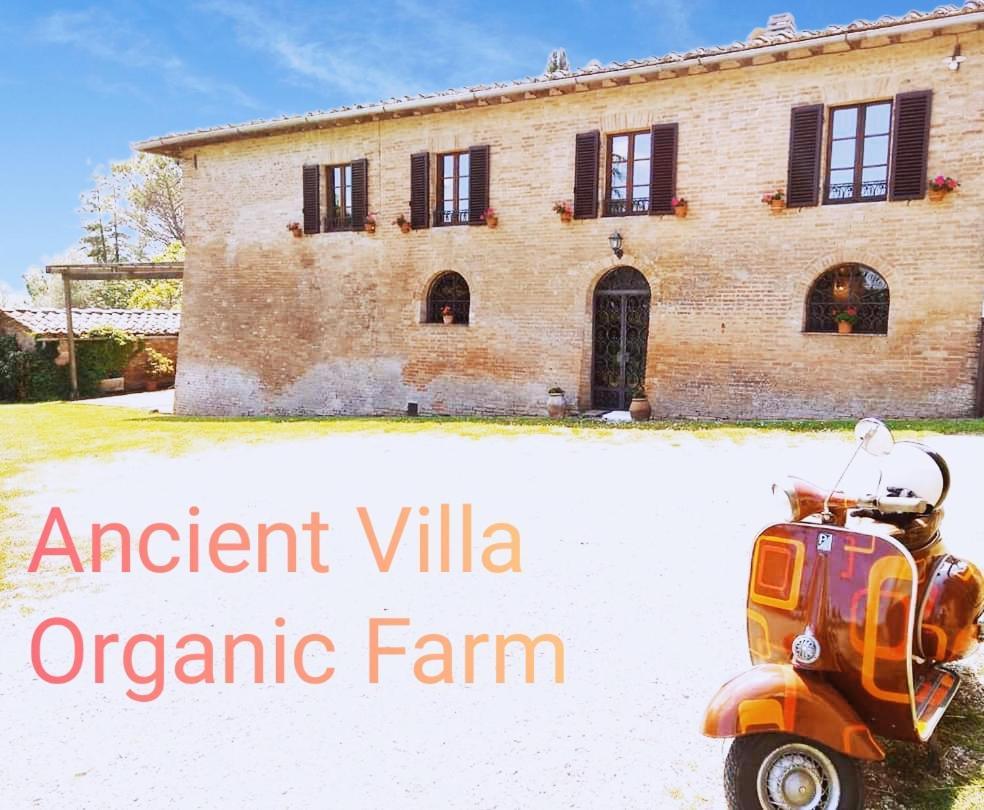 Villa Poggio Al Sole Bio Agriturismo Private Pool San Rocco a Pilli Eksteriør billede