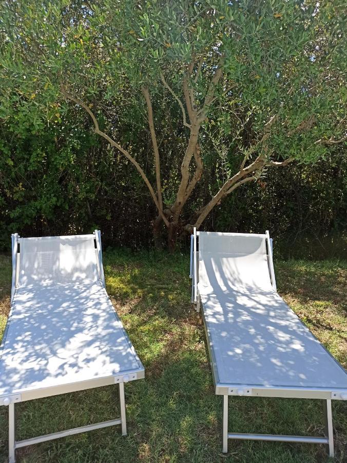 Villa Poggio Al Sole Bio Agriturismo Private Pool San Rocco a Pilli Eksteriør billede