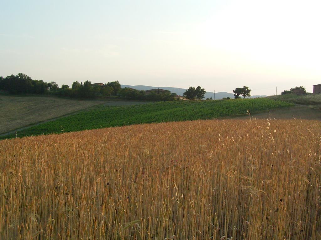 Villa Poggio Al Sole Bio Agriturismo Private Pool San Rocco a Pilli Eksteriør billede