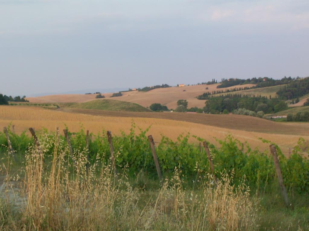 Villa Poggio Al Sole Bio Agriturismo Private Pool San Rocco a Pilli Eksteriør billede