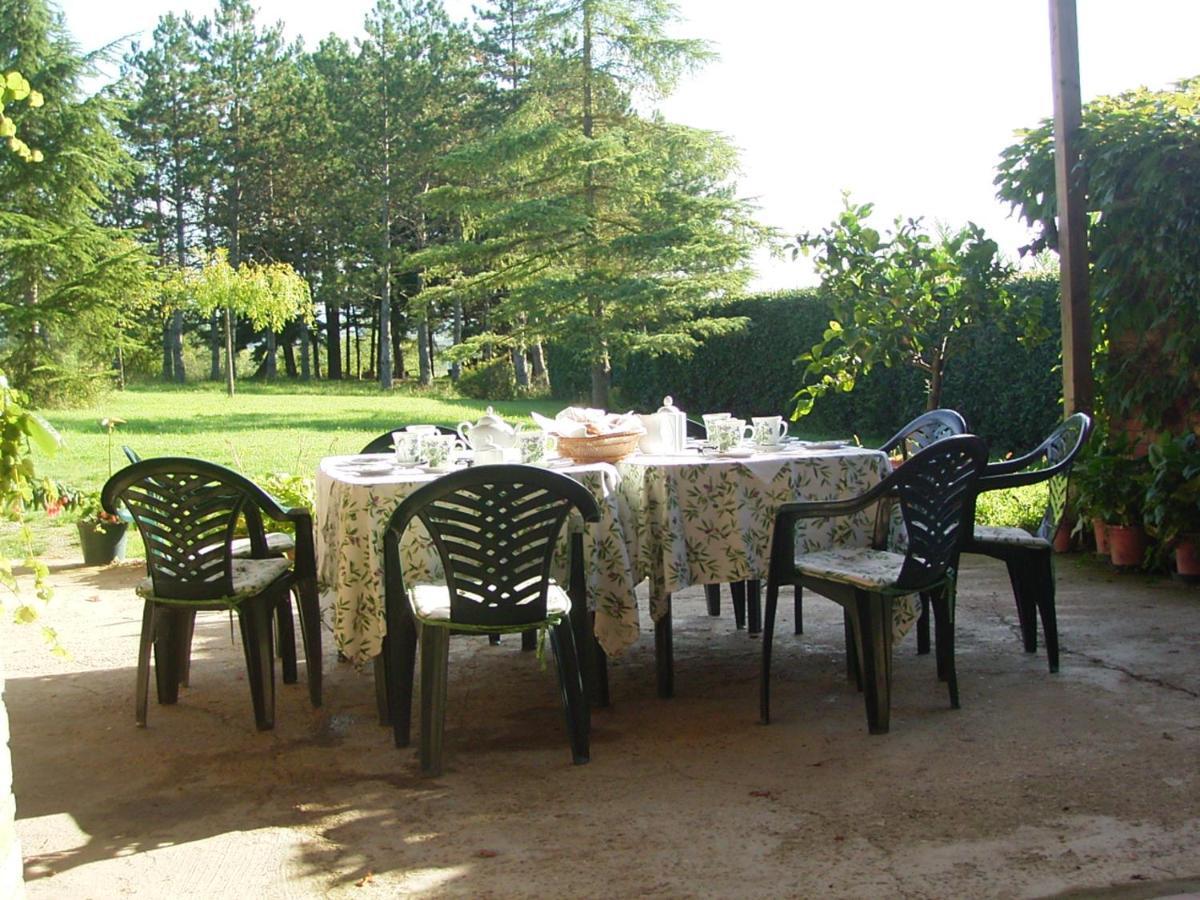 Villa Poggio Al Sole Bio Agriturismo Private Pool San Rocco a Pilli Eksteriør billede