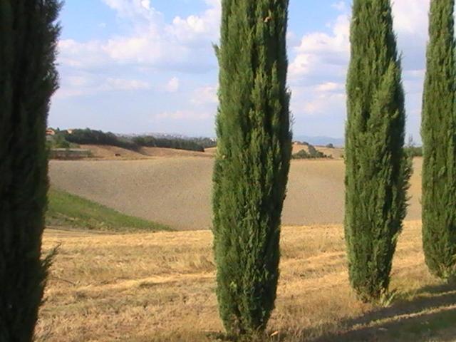 Villa Poggio Al Sole Bio Agriturismo Private Pool San Rocco a Pilli Eksteriør billede